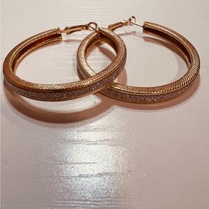 Elegant Gold and Silver Hoop Earrings